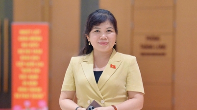 Vice-chefe da Delegação da Assembleia Nacional da Província de Quang Ninh, Nguyen Thi Thu Ha: Metódica, rigorosa, garante a seleção de delegados dignos, com coragem, inteligência e prestígio suficientes.