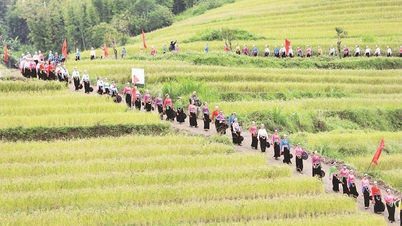 ចំណាប់អារម្មណ៍នៃភ្នំ