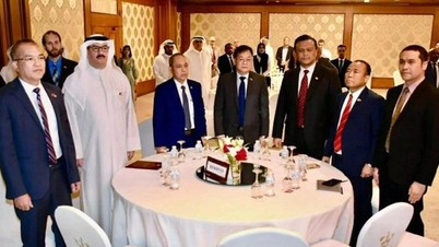 ベトナム・クウェート貿易：持続可能な協力基盤と拡大の見通し