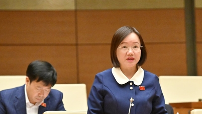 قومی اسمبلی کے مندوب تھائی تھی این چنگ (نگے این): ڈپازٹرز کے حقوق کو یقینی بنانے کی ضرورت ہے۔