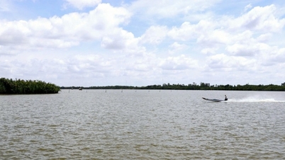 Thi Tuong-lagúna, Ca Mau: Fedezze fel a „tótenger” szépségét Nyugaton