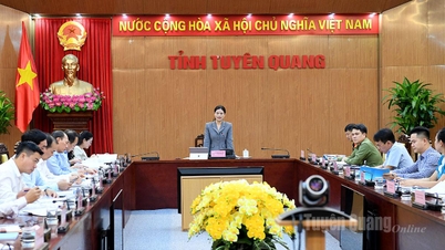 พัฒนาคุณภาพการฝึกอบรมวิชาชีพ ส่งเสริมการจ้างงานภายในจังหวัด