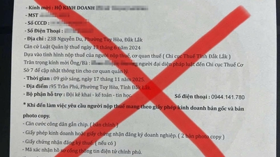 Detecting fake invitations, impersonating tax authorities