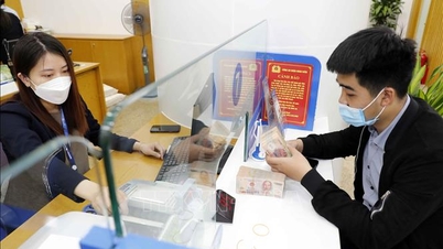 ការពង្រឹងគណៈកម្មាធិការដឹកនាំសម្រាប់ការរៀបចំរចនាសម្ព័ន្ធស្ថាប័នឥណទានឡើងវិញ