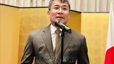 Anunciamos la producción del proyecto musical «Princesa Anio», que celebra la amistad entre Vietnam y Japón.