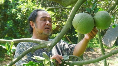 Thuong Tan discută soluții pentru dezvoltarea agricolă durabilă