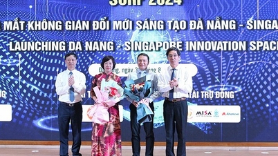 Da Nang ontwikkelt een innovatie- en startupcentrum van internationale klasse