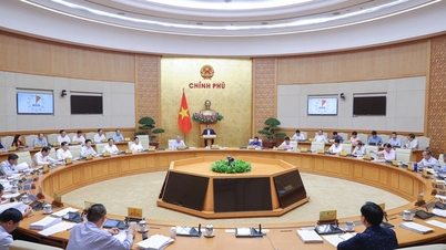 Spesiell mekanisme for å tiltrekke seg eksperter innen vitenskap, teknologi, innovasjon og digital transformasjon