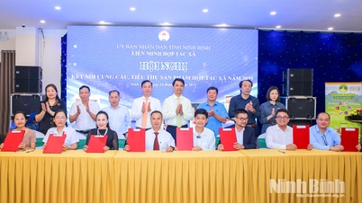 Persidangan sambungan bekalan-permintaan dan pameran produk Koperasi pada tahun 2025