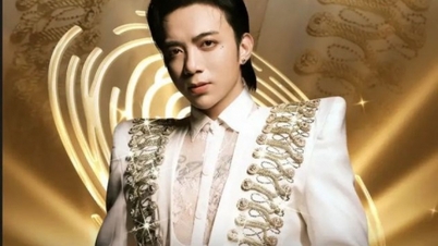 Artis Vietnam membentuk kedudukan mereka melalui konsert solo