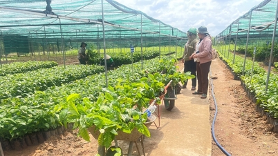 जब नीति लोगों को "स्पर्श" करती है