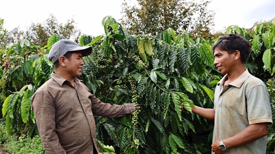 Etnik azınlıklara yönelik farkındalığın artırılması