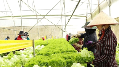 Tarım ve çevre "aynı çatıyı paylaştığında"