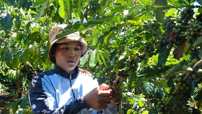 Fuzionarea a 3 programe naționale țintă