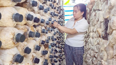 Medeni, ekolojik ve şefkatli bir Dong Xoai için