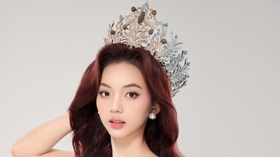 وراء سقوط الآنسة هوانغ نغوك نهو