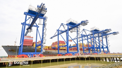 Dong Nai est habilitée à importer des voitures.