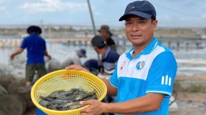 島の「エビ億万長者」の秘密