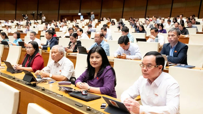 11월 15일 아침 뉴스: 2026~2031년 임기 제16대 국회의원 및 인민위원회 의원 선거 준비