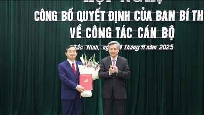 סגן מזכיר ועדת המפלגה המחוזית, יו"ר ועדת העם של מחוז תאי נגוין, פאם הואנג סון, הועבר ומונה לתפקיד סגן מזכיר ועדת המפלגה המחוזית בק נין.