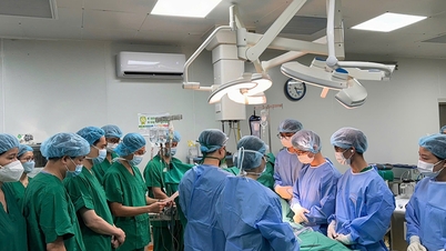 Enam orang menerima pemindahan organ dan kornea daripada penderma yang mati otak.