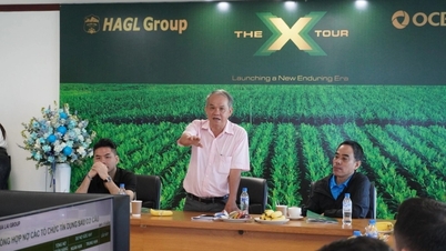 Бау Дюк: Шовковиця може перевершити банани, ставши основним джерелом доходу HAGL