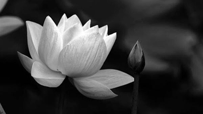 Tin buồn: Đồng chí Nguyễn Đăng Vang từ trần