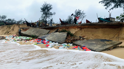 Nỗi lo biển 'nuốt' bờ ở xã Triệu Cơ