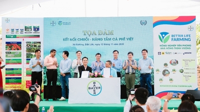 Kết nối chuỗi - Tầm nhìn chiến lược cho cà phê Việt bước ra toàn cầu