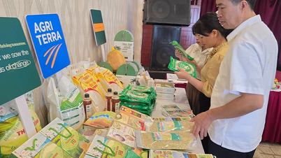 Chương trình “Chuyển đổi lấy nông dân làm trọng tâm” mang lại hiệu quả thiết thực