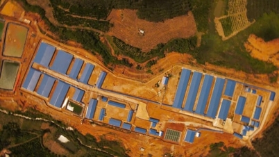 Ba Farm Dak To ត្រូវបានកំណត់ក្នុងដំណើរនៃការអភិវឌ្ឍន៍កសិកម្មបៃតង។