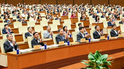 អគ្គលេខាធិការចូលរួមសន្និសីទជាតិ ដើម្បីផ្សព្វផ្សាយសេចក្តីណែនាំស្តីពីការងារបោះឆ្នោត