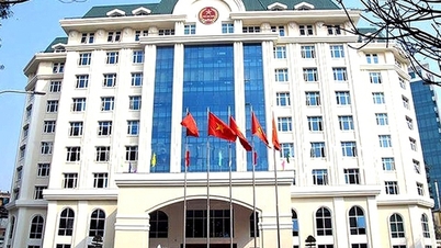 Eliminar el impuesto de suma global: El Departamento de Impuestos hace un llamado a las asociaciones, los agentes tributarios y las empresas familiares para que se unan.