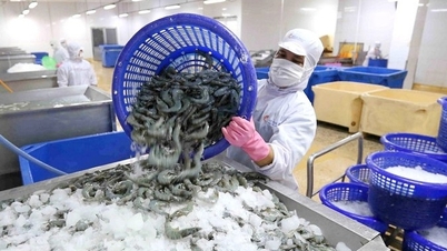 Không được nghỉ cuối tuần, doanh nghiệp thủy sản chật vật tuyển lao động