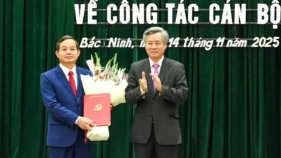 El presidente del Comité Popular Provincial de Thai Nguyen fue transferido al cargo de vicesecretario del Comité del Partido Provincial de Bac Ninh.