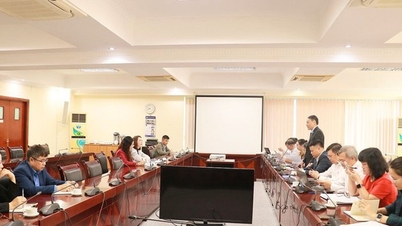 Повышение эффективности стандартов измерения качества в сфере культуры, спорта и туризма