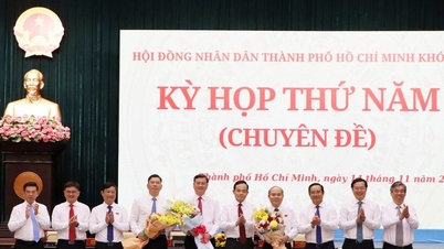 ທ່ານ ຮ່ວາງ ຫງວຽນ​ດິງ ​ໄດ້​ຮັບ​ເລືອກ​ຕັ້ງ​ເປັນ​ຮອງ​ປະທານ​ຄະນະ​ກຳມະການ​ປະຊາຊົນ​ນະຄອນ​ໂຮ່ຈິ​ມິນ.