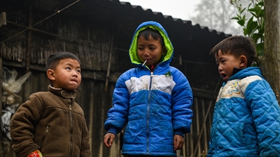 오늘 11월 15일 날씨: 북부지방 13도 추움, 중부지방 폭우