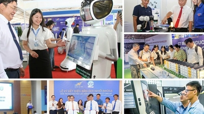 علم و فناوری، نوآوری و نوسازی، وظایف مهمی برای توسعه دونگ نای هستند.