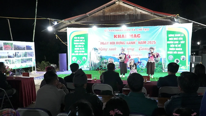 Che Tao Commune organiseert Green Forest Festival