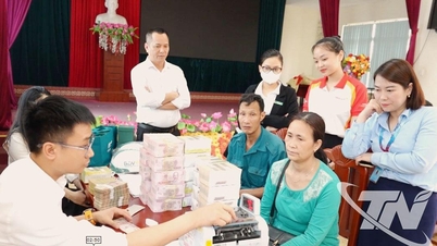 Project Industriepark Song Cong II: Inspanningen om terreinopruiming te voltooien