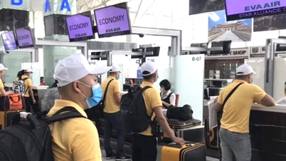 Ting å huske på når du velger å jobbe i utlandet etter endt universitetsutdanning