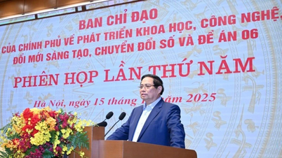 Fokusera på att utveckla databaser som grund för att starkt främja nationell digital transformation