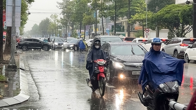 동나이: 11월 15일부터 20일까지 맑은 날, 비오는 오후와 밤