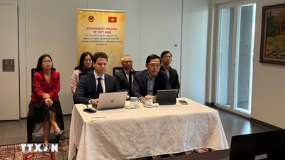 Enhancing Vietnam's early warning capacity on trade defense