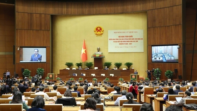 Kandidaten voor het ambt van afgevaardigde in de Nationale Assemblee mogen niet toestaan ​​dat familieleden misbruik maken van hun positie voor persoonlijk gewin.