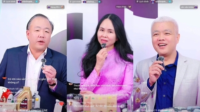 Abertura do maior festival de compras online do ano.