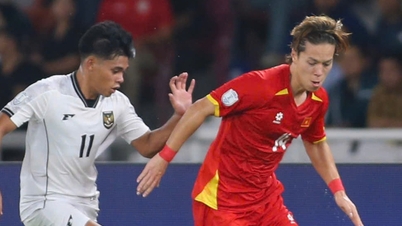 ইন্দোনেশিয়ান দলের কোচ SEA গেমস 33 পুরুষদের ফুটবলে U.23 ভিয়েতনামের কাছে স্বর্ণপদক হারানোর বিষয়ে চিন্তিত