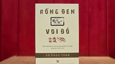 ការទាក់ទាញរបស់នាគខ្មៅ - ដំរីក្រហម