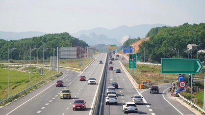 تزویراتی محل وقوع Thanh Hoa کے لیے مضبوط ترقی کی رفتار پیدا کرتا ہے۔